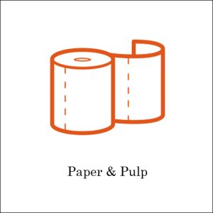 Paper-Pulp